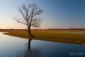 090_Biebrza - kwiecien 2013